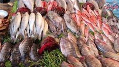 ضبط صاحب محل بحوزته 1.5 طن أسماك سردين فاسدة في القاهرة