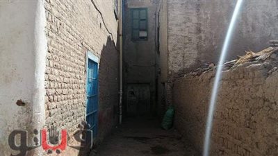 «الغجر.. بدون مصر».. لا يملكون أوراقا ثبوتية وأبناؤهم لا يلتحقون بالمدارس.. محرومون من الخدمات ويعيشون على أطراف القرى | صور