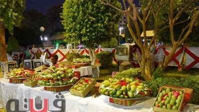 إطلاق مبادرة لزراعة 50 مليون شجرة مانجو في أسوان