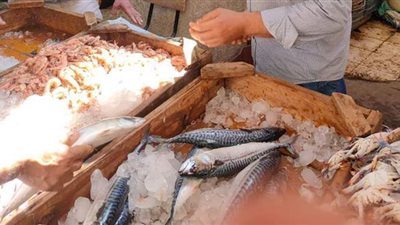 تحرير 27 محضرا لـ 24 منشأة غذائية في حملات تفتيشية بالدقهلية