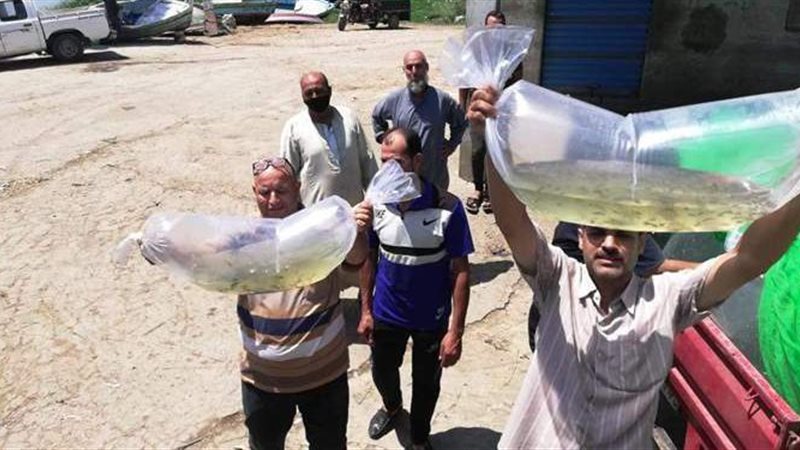 القاء زريعة الاسماك