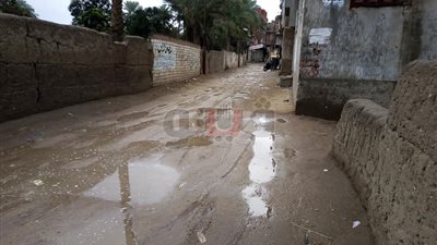 أمطار رعدية تضرب مدن وقرى الشرقية (صور)