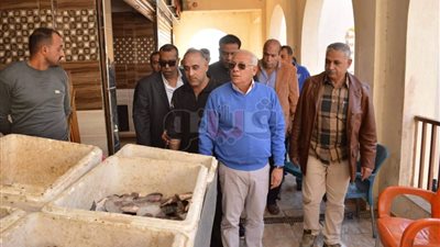 محافظ بورسعيد يقرر زيادة ساعات العمل لسيارات الحي الإماراتي والمدينة