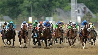 انطلاق مهرجان الخيول الـ 21 بمحطة الزهراء