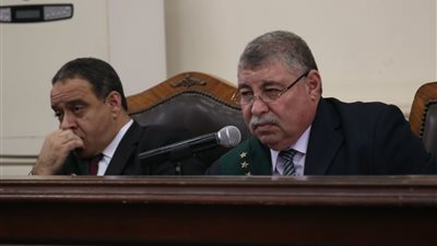 تأجيل محاكمة 213 متهما بـ«تنظيم بيت المقدس» لأول ديسمبر