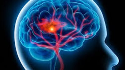 المخ في حاجة لأوميجا 3 وفيتامينات B وD وA لتغذية الخلايا العصبية