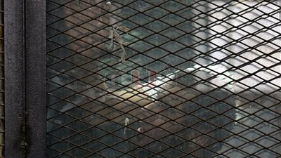 تأجيل محاكمة متهمي «تنظيم بيت المقدس» لـ١٢ديسمبر