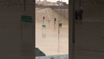 شاب ينقذ عجوزا حجزته السيول داخل سيارته (فيديو)