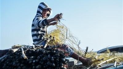 «صناعة نص الليل».. غزل شباك صيادي بحيرة البرلس (فيديو)