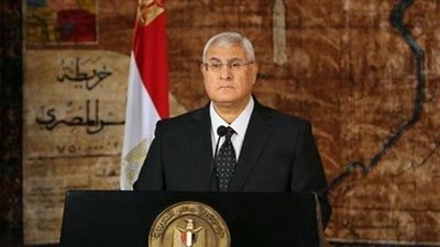 «منصور» يرسل خطابات إلى قادة أفريقيا لشرح تطورات خارطة الطريق