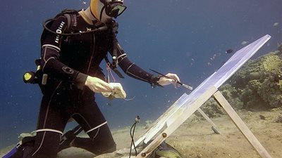 امرأة تبدع في رسم اللوحات أسفل المياه (فيديو وصور)