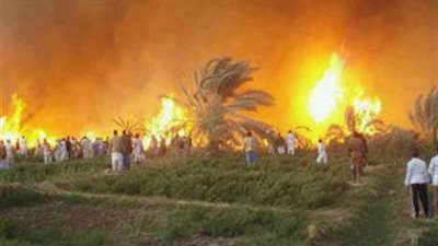 السيطرة على حريق بأرض زراعية في الوادي الجديد