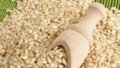 «شعبة الأرز»: أكل العصافير من الأرز الهندي يساوي إنتاج مصر