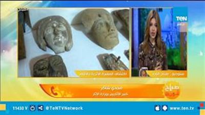 كبير الأثريين: للمرة الأولى يكتشف المصريون مقبرة كاملة غير مرقمة (فيديو)