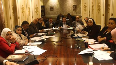 «قوى عاملة النواب» توافق مبدئيا على إنشاء نقابة المهن النفسية