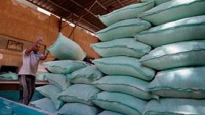 توريد 2.8 مليون طن قمح محلي لـ