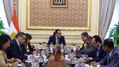 مدبولي يوجه بإعداد تصور كامل حول التعاون الأفريقي في مجال الدواء