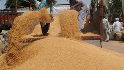 وصول شحنات ذرة وقمح من أوكرانيا وروسيا إلى ميناء الإسكندرية