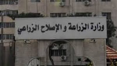 حقيقة تصدير الكلاب للأكل.. آسيا لا تستوردها ولديها اكتفاء ذاتي