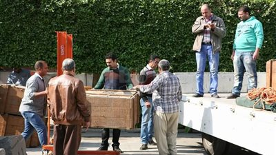 تفاصيل نقل ٨ آلاف قطعة أثرية مكتشفة بعزبة الوالدة لمتحف الحضارة