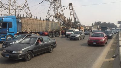 توقف الحركة المرورية بجسر السويس بسبب سقوط شجرة