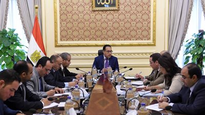 فتح الباب لاستيراد لتوفير الاحتياجات من الفول