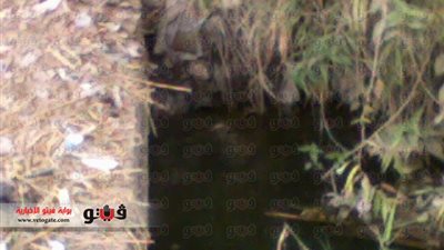 بالصور.. 200 ألف فدان بالدقهلية معرضة للبوران.. الفلاحون يلجأون للصرف الصحى.. عصام راضى يقوم بتركيب ماكينة على مصرف.. المسئول المختص: لا توجد أزمة والمشكلة في مخ الفلاحين