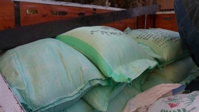 عودة أزمة الأسمدة مع بداية زراعة محصول الأرز بالغربية