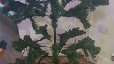 صدمة شاب في شجرة كريسماس اشتراها عبر الإنترنت (صور)