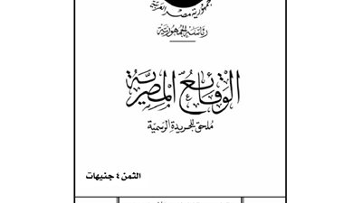 «الرقابة المالية» تحدد قواعد حوكمة شركات التأجير التمويلي والتخصيم