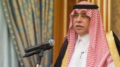 7.3 مليارات دولار حجم التبادل التجاري بين مصر والسعودية