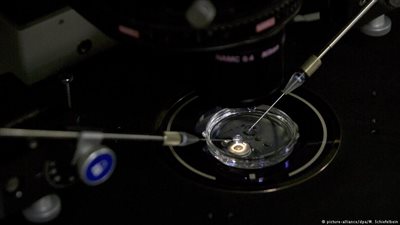 علماء يصفون تجربة تعديل جينات بشرية بأنها «فتحت أبواب الجحيم»