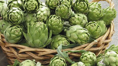 القومي للبحوث: الخرشوف يحمي خلايا الكبد من التسمم