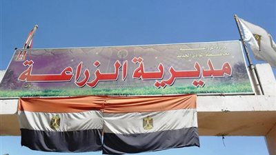 الوادي الجديد ترصد جوائز لتحفيز المزارعين على حضور ندوات القمح