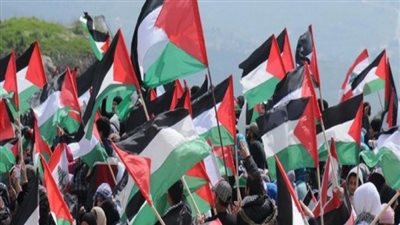 الخارجية: الحلول المنقوصة للقضية الفلسطينية لن تحقق الاستقرار