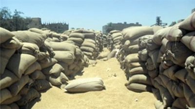 تسليم 168 ألف طن قمح لشون الغربية
