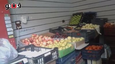 الطماطم تسجل 500 قرش والبرتقال 6 جنيهات في سوق المريوطية (فيديو)