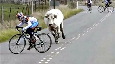 أطرف اللقطات قبل وقوع الكوارث (صور)