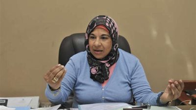 سامية حسين: تحصيل الضريبة العقارية على المناطق المستغلة بالمصانع