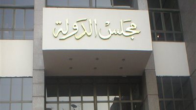 مجلس الدولة يوافق على قوانين «أعضاء المهن الطبية»