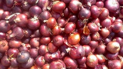 أسعار الخضراوات والفاكهة اليوم 29/ 11/ 2018.. والبصل بـ5.50 جنيهات