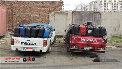 ضبط 600 لتر سولار مدعم وربع طن أسماك الأرنب السامة بالإسكندرية