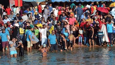 الغابة والاتحاد وأبو قير يفوزون بكأس مصر لسباحة الزعانف (صور)