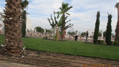 بسبب الطقس.. زراعة النباتات الشتوية بدلا من الصيفية في الغردقة (صور)