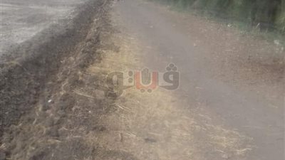 أصحاب الأراضي الزراعية يعتدون على الطريق العام بطنطا (صور)