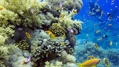 ١٥ موقعا على القائمة الخضراء للاتحاد الدولي لحماية الطبيعة