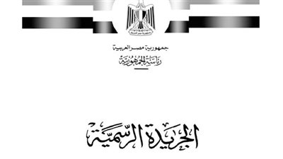 الجريدة الرسمية تنشر قرار الوطنية للانتخابات بمتابعة منظمات المجتمع المدني
