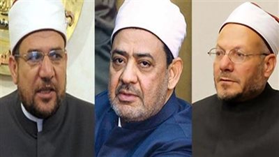 شيخ الأزهر والمفتي ووزير الأوقاف يزورون مصابي الروضة بالمستشفيات