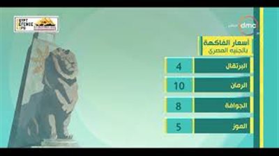 أسعار الخضراوات والفاكهة اليوم.. البطاطس بـ5 جنيهات (فيديو)