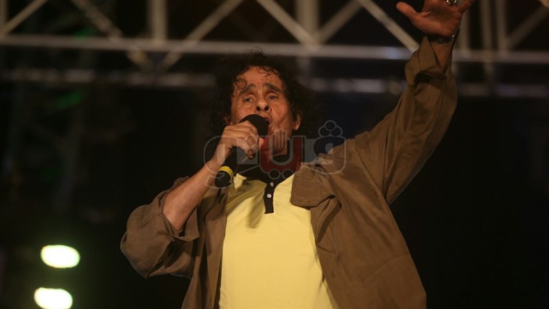 على حميدة